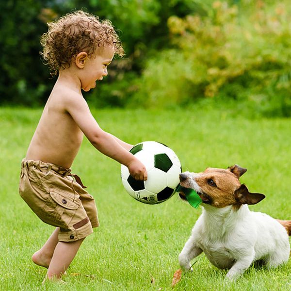 

football outdoor pet throw interactive easy to pick up 18cm large and small dog toys