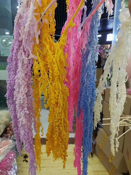

preserved 5pcs love tears amaranthu flower bouquet joris 60-70cm real dry natural hanging plant for christmas wedding decoration
