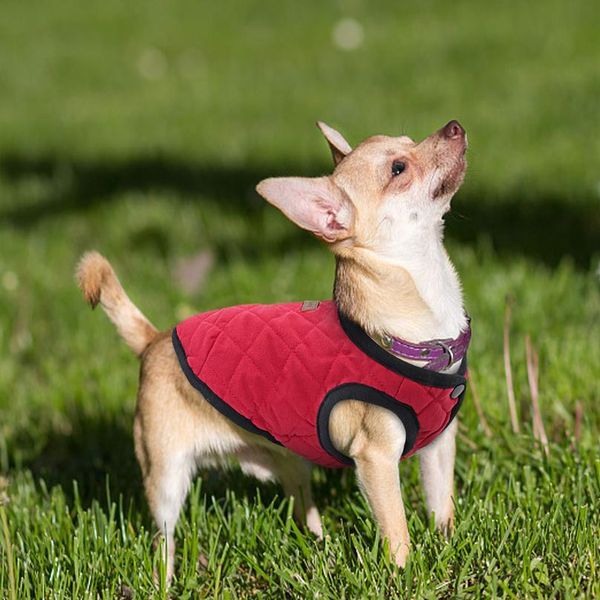 

french bulldog chihuahua dog clothes coat pet clothes winter puppy cat clothing jacket for small large dogs cats vest ro bbyqvi