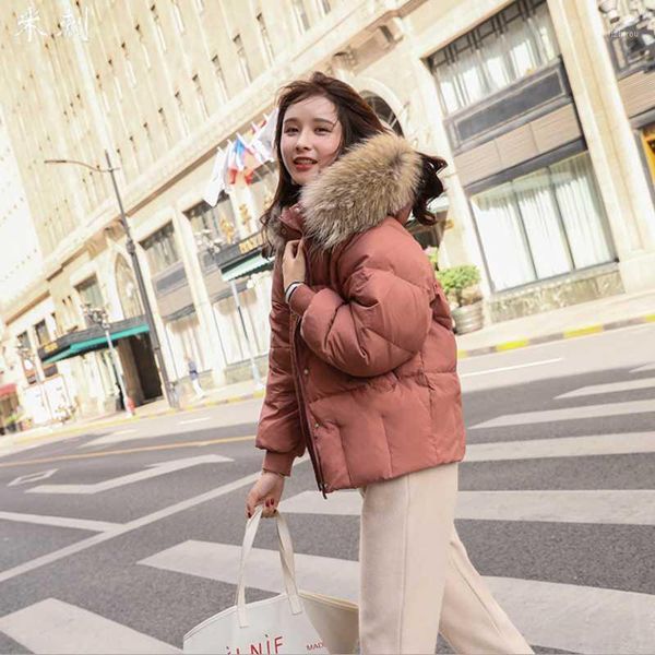 

women new style shor hooded duck down jackets female fashion warm slim and thin clothes lady popular winter all match jackets1, Black