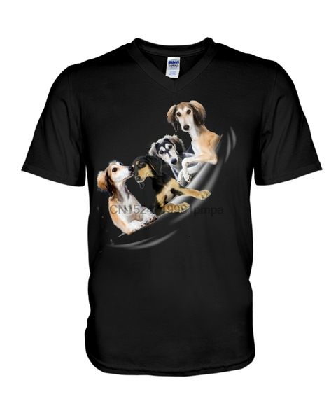 

sport men t shirt saluki - torn 4(14) women tshirts