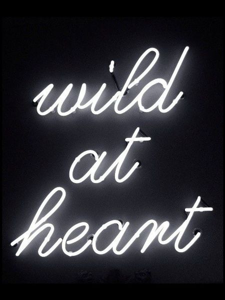 

neon sign wild at heart window open club power lamp resterant light l custom coffee impact attract light
