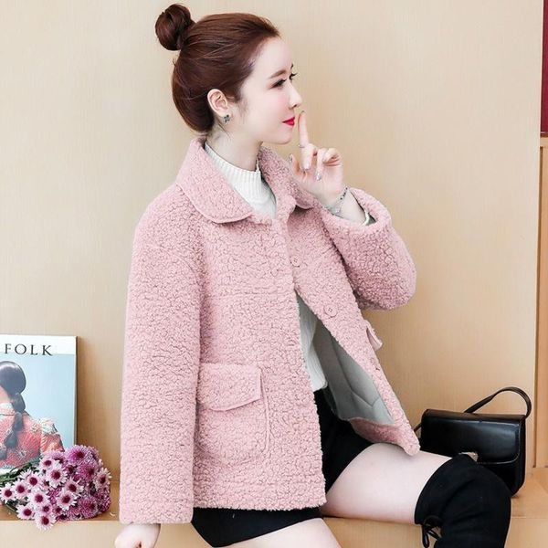 

thickened lamb coat women 2021 autumn and winter new imitation leather hair one korean version loose small grain velvet tide, Black;brown