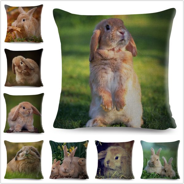 

cute rabbit bunny cushion cover pillowcase pillow covers for sofa car home decor pet animal pillow cover cotton linen 45x45 cm