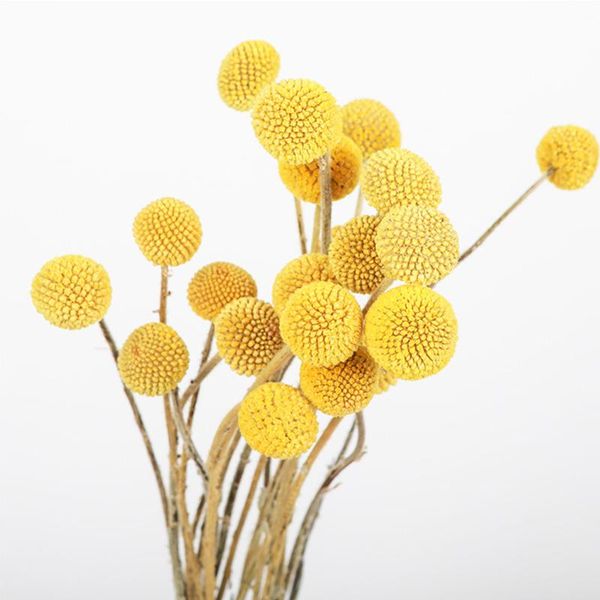 

30 pcs dried flower craspedia billy balls wedding bouquet flower branch home decoration christmas wreath diy