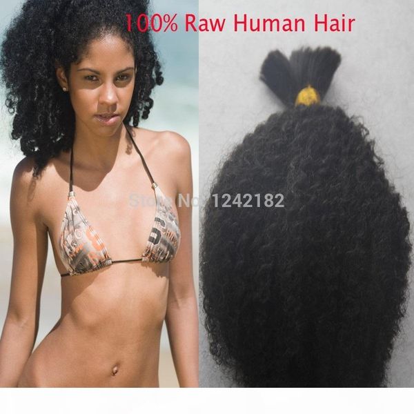 

natural black braiding kinky curly bulk hair brazilian human hair bundle 1 piece 100g bundle for hair extensions