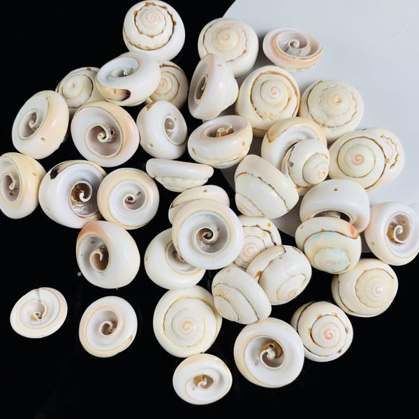

5pcs natural spiral shell for pgraphy decor home room office table bedrooms gallery fish tank decor beach party diy landscap h bbysrr