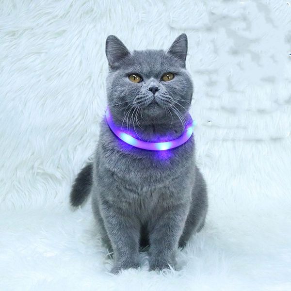 Hundehalsband LED-Haustier-Leuchthalsband USB-Aufladung Haustierhalsband Haustier-Welpenbedarf T2I53371