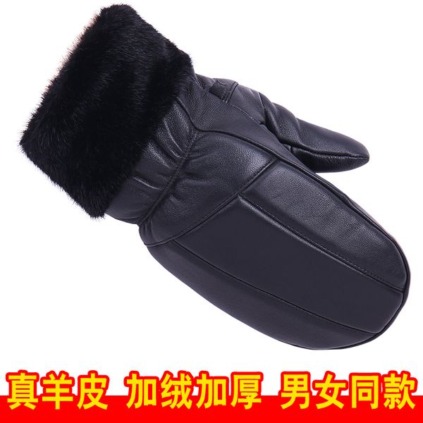 

four finger cotton gloves for men and women thicken winter, no matter in winter ride a battery car to keep warm, northeast outdoor, Blue;gray