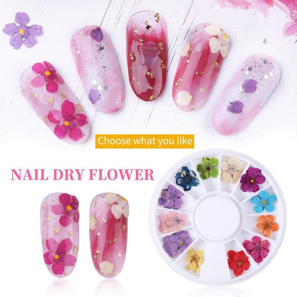 

3d real dried flowers nail art sticker sunflower daffodil natural floral decals manicure nails dry flower decoration accessories, Silver;gold