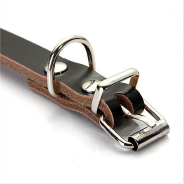 

2021 new adjustable cow leather pet dog cat puppy collar neck buckle black/brown1