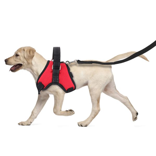 

adjustable seat belts for medium large dogs, walking, running and pet accessories