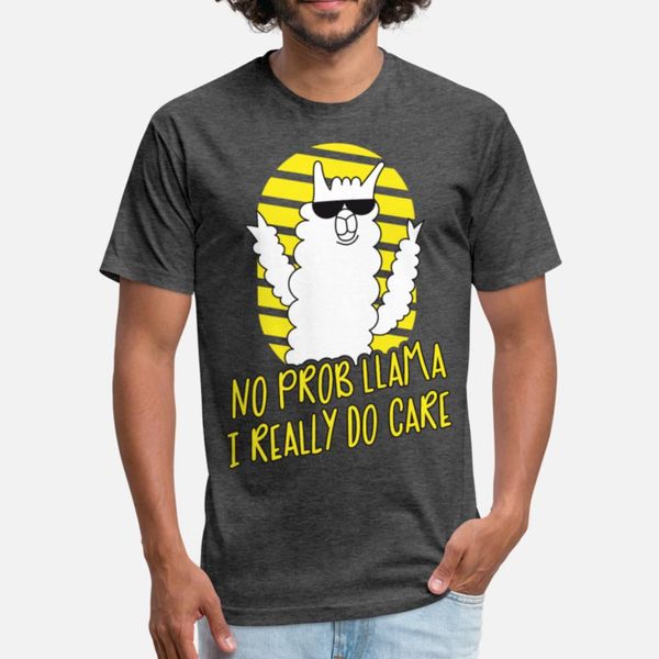 

no prob llama i really do care funny alpaca lover designers graphic t shirt diy kawaii trendy tracksuit hoodie sweatshirt