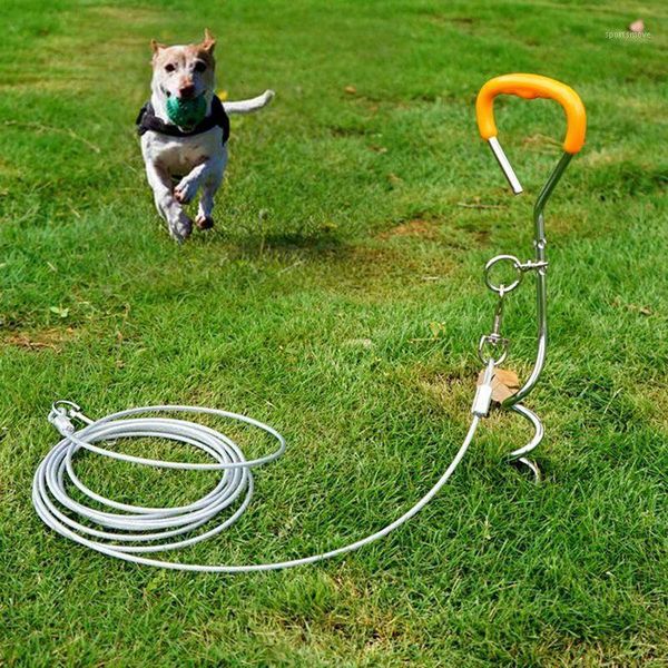 

dog collars & leashes 2021 outdoor pile stainless steel fixed leash kit generies spiral ground stake spike out for yard and camping1