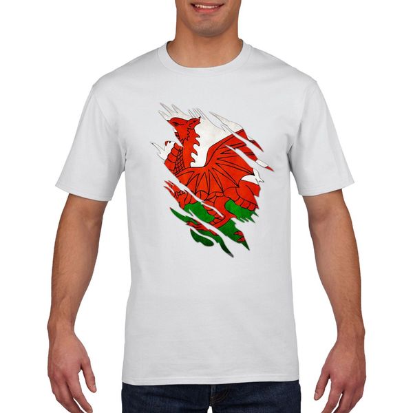

sport 2019 letter men wales t shirt rugbyer tshirt cymru footballer gift mens boys t shirt design template