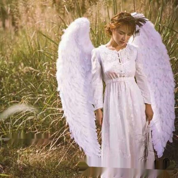 

sfvsa showshow window the show in show window showwing show in the wing gzxi4