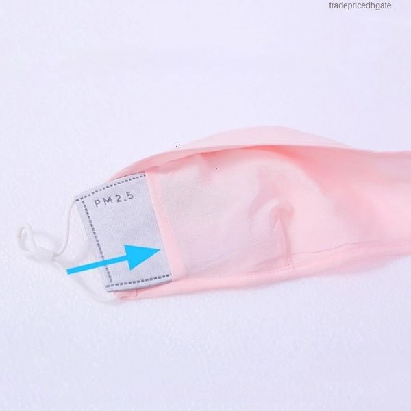 

5 pm2.filter fareplacement protective filter shipping layer inner pad gasket replacement pads mask t01j