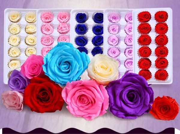 

12pcs 3-4cm preserved flower rose bud head for wedding party holiday birthday velentine's day gift favor