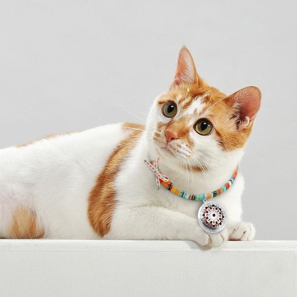 

adjustable dog collar anti flea tick collars repel lice mite mosquitoe pet necklace neck strap practical outdoor inse sqcuce