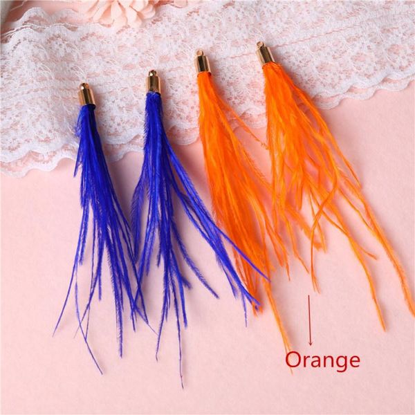 

10pcs colorful feather cap tassel ornament diy earrings jewelry sewing decorative pendant long tassels handmade craft supplies h jllkia