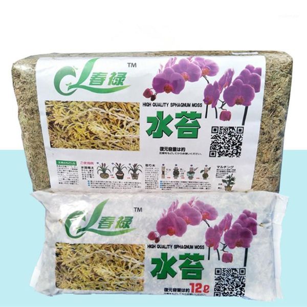 

natural dried sphagaum moss garden supplies moisturizing nutrition organic fertilizer orchid flowerpot decoration1