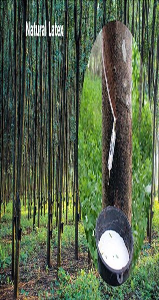 

5 уровней универсальные полосы упражнения упругие фитнес-тренировочные тренировки йога ленты для йоги ракировка тяги веревки полосы bbyluv y