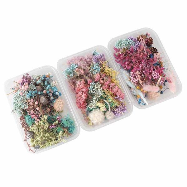 

1 box real dried flower dry plants for aromatherapy candle epoxy resin pendant necklace jewelry making craft diy accessories 149 n2