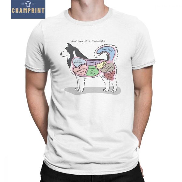 

anatomy of a malamute pure vintage dog breed dog lover short sleeve clothes gift idea sport hooded sweatshirt hoodie t shirt