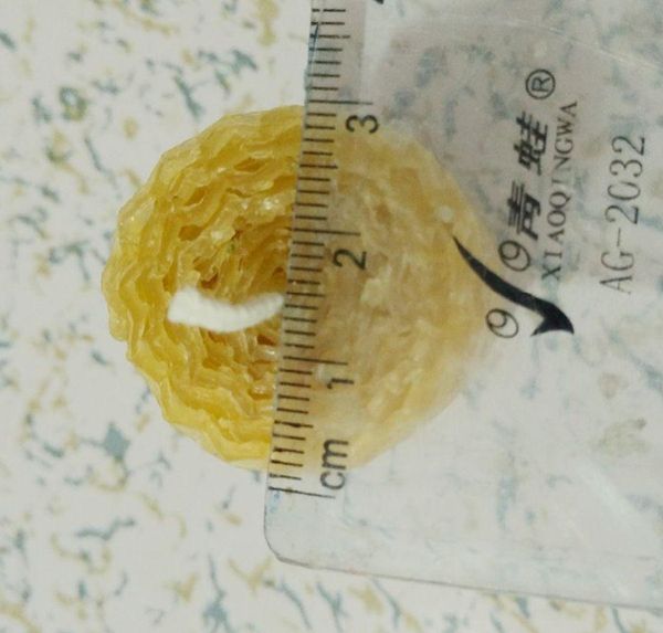 

8 pieces/lot rolled beeswax candle general candle 3*5.5cm handmade pillar lighting candles home decor candl wmtgja bdesybag