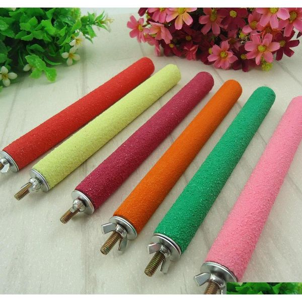 

10pcs pet bird chew toys cage perches stand platform toy paw grinding clean for toys parrot bites parakeet birds qylxfv homes2011