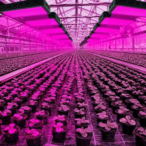 

1800w 180*10w full spectrum 3030 lamp bead plant lamp single control black indoor premium material grow lights