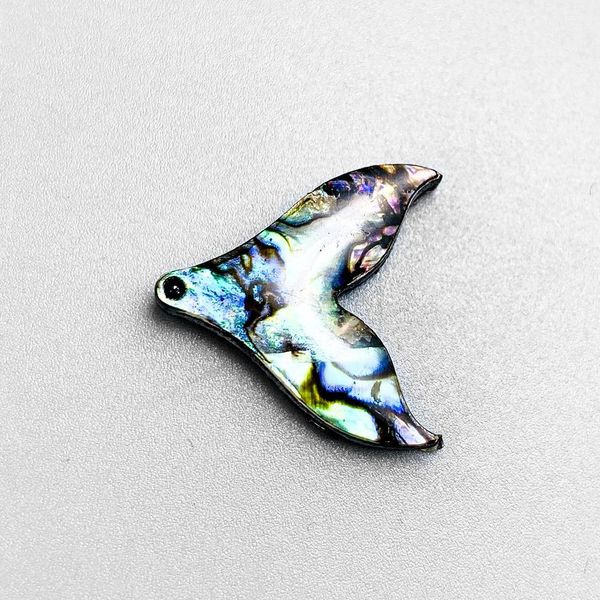 

5 шт. натуральные abalone shell covants подвески подвески shell щель для ювелирных изделий diy ожерелье серьги аксессуары 2020мм h jllhlj