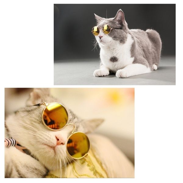 

for newsoft little glasses random cat color eye-wear dog sunglasses ps pet products2021