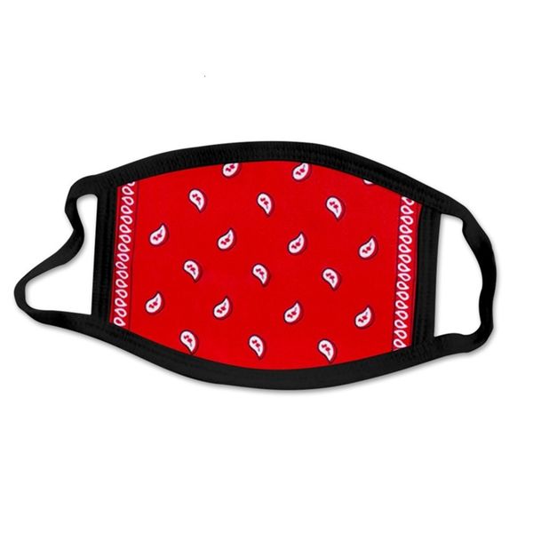 

us07uu in stock designer fashion face masks dust proof anti smog 3d cross-border printing cashew flower mask double lay n