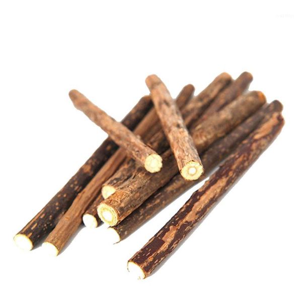 

cat cleaning teeth teether catnip pet cat molar rod toothpaste matatabi silvervine actinidia chew stick toy1