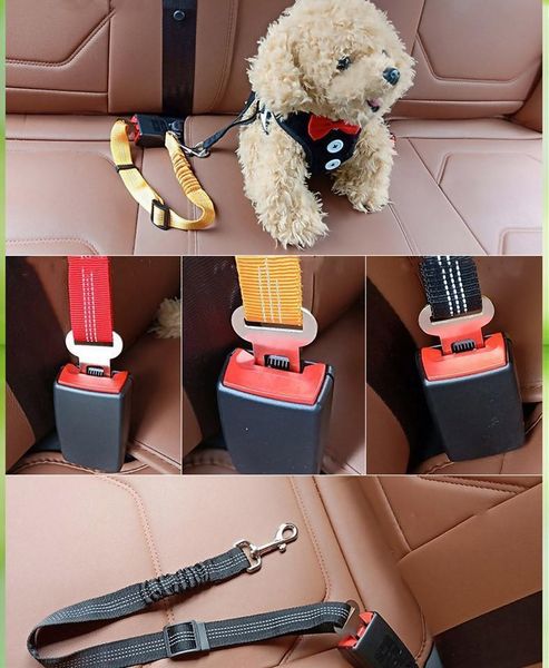

pet dog safety car car seat belt elastic reflective dog seat belt seat belt lead tracti bbyxtr bde_luck