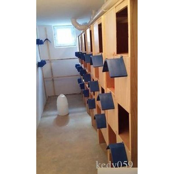 

pigeon nest supplies bird plastic habitat station bird swing shelf and racks feeding applianc qylbgr sports2010