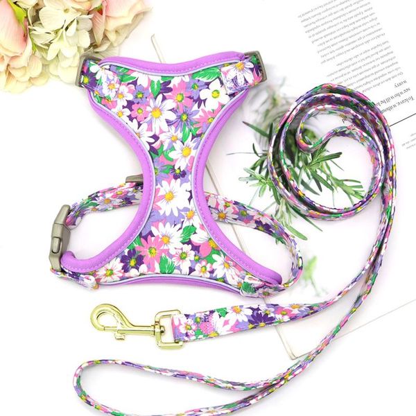 

reflective nylon dog harness floral printed dog harness vest and leash set for small medium dogs pet walking harness le sqcrhg