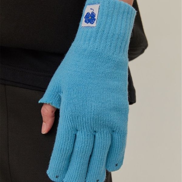 

autumn and winter 2020 new ader men and women lovers korean fashion personalized eye-catching high street style gloves, Black;green