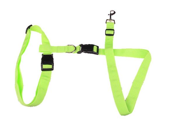 

new design waist pet dog leash walking running puppy dog lead collar sport adjustable safety training protect dog accessories 30 wmtson