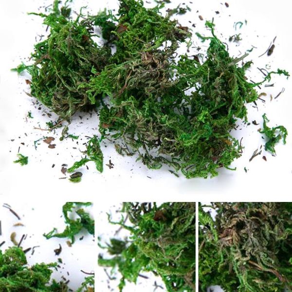 

40g/bag artificial flower dried reindeer moss for garden home decoration diy craft flower bonsai basket plant wedding tu jllfno