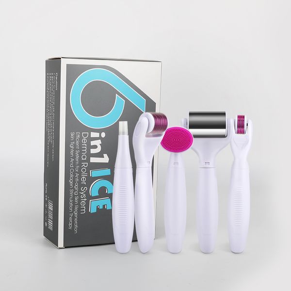 

new 6 in 1 microneedle derma roller kit titanium dermaroller micro needle facial roller skin care for skin care and body treatment