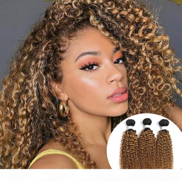 

honey brown hair weave kinky curly human hair bundles brazilian virgin hair wefts color 1b 27, Black