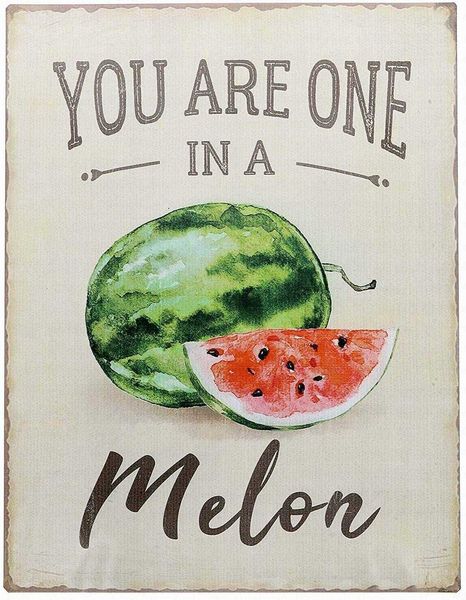 

watermelon melon funny fruits vintage metal tin sign home decor 8x12 wall retro