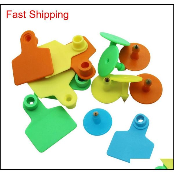 

pig ear tags 3 colors no word animal identification label farm equipment animal livest qylbkl packing2010