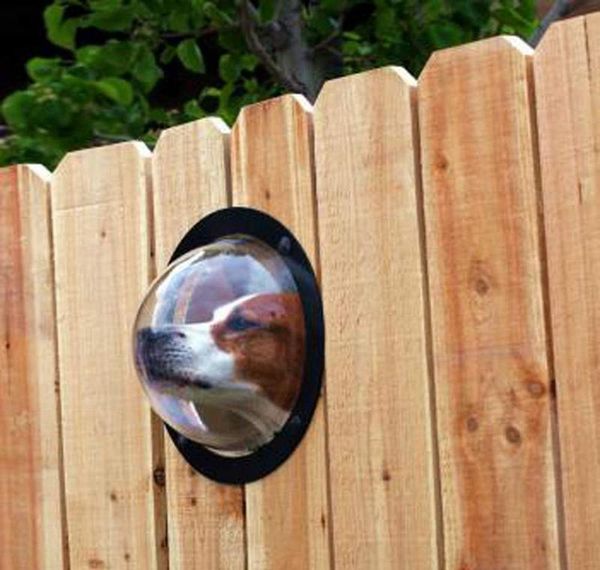 

dog fence window for pet - durable acrylic dog dome for backyard fence, house, reduced barking, necessa qylmyp loveshop01