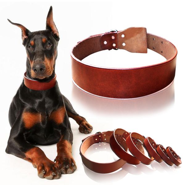 

smooth leather real dog pet collar heavy maroon size xs m l xl