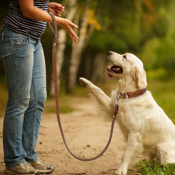 

genuine leather dog collar and leash set durable pet walking training collar leash for medium large dogs german bbywgb