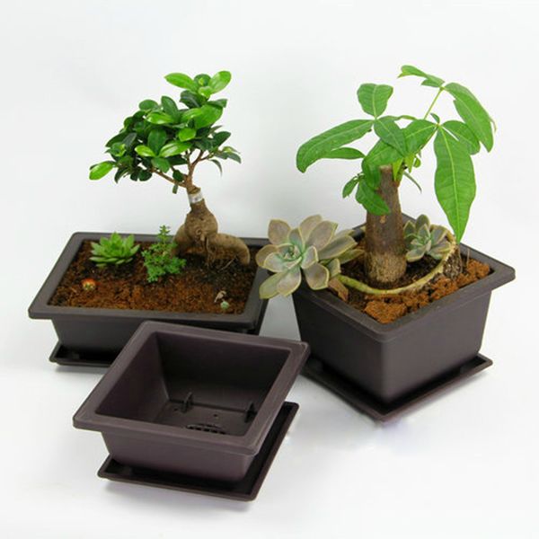 RetroGarden Plastic Flower Pot for Succulents & Bonsai - Balcony Decorations, Nursery Pots, Maceteros Decorativos