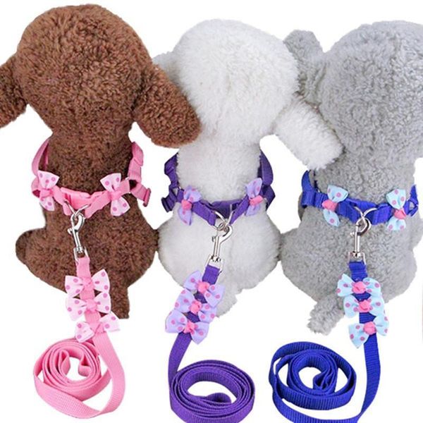 

dog collars & leashes autumn pet harness nylon collar leash cute basic rope for chihuahua small supplies accessories1